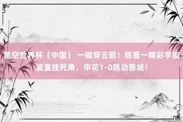 星空世界杯（中国） 一脚穿云箭！陈晋一精彩宇宙波直挂死角，申花1-0跳动蓉城！