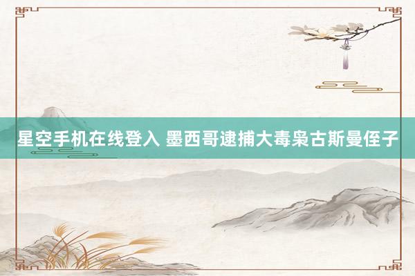 星空手机在线登入 墨西哥逮捕大毒枭古斯曼侄子