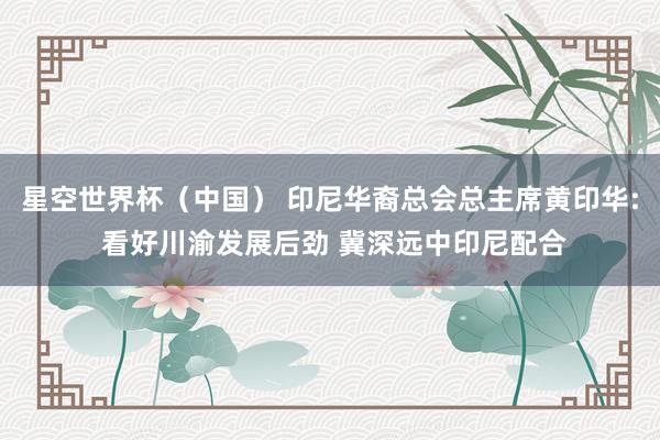星空世界杯(中国) 印尼华裔总会总主席黄印华: 看好川渝发展后劲 冀深远中印尼配合