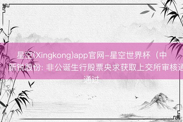 星空(Xingkong)app官网-星空世界杯(中国) 新锐股份: 非公诞生行股票央求获取上交所审核通过