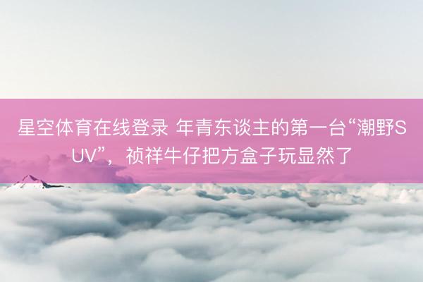 星空体育在线登录 年青东谈主的第一台“潮野SUV”,祯祥牛仔把方盒子玩显然了